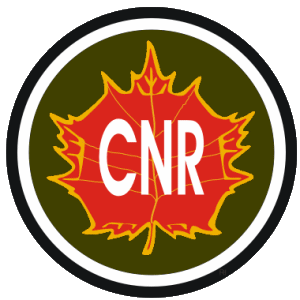 CNRAvatar-1